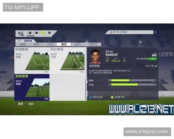 杭州网球队阵地战体系解析与战术运用探讨